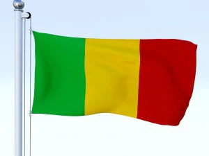 todo o pacote de bandeira africana Modelo 3D