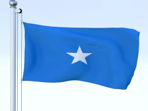 todo o pacote de bandeira africana Modelo 3D