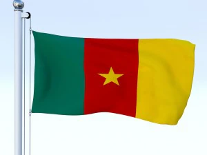 todo o pacote de bandeira africana Modelo 3D