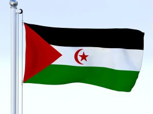 todo o pacote de bandeira africana Modelo 3D