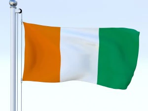 todo o pacote de bandeira africana Modelo 3D