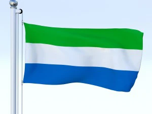 todo o pacote de bandeira africana Modelo 3D