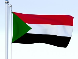 all african flag pack 3Dモデル