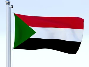 todo o pacote de bandeira africana Modelo 3D