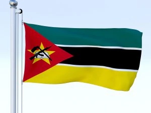 todo o pacote de bandeira africana Modelo 3D