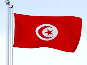 todo o pacote de bandeira africana Modelo 3D