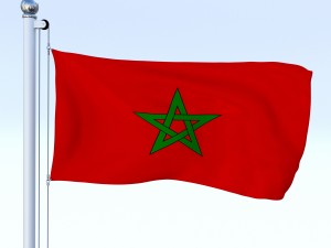 all african flag pack 3Dモデル