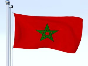 todo o pacote de bandeira africana Modelo 3D