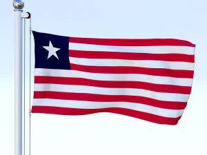 todo o pacote de bandeira africana Modelo 3D