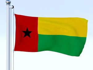 todo o pacote de bandeira africana Modelo 3D