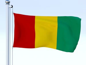 todo o pacote de bandeira africana Modelo 3D