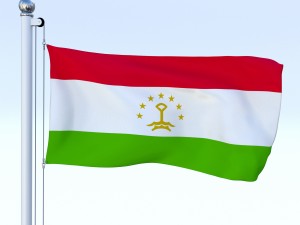 all asian flag pack 3D Model