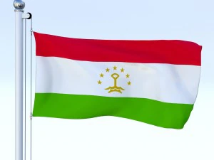 all asian flag pack 3D Model