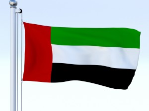 all asian flag pack 3D Model