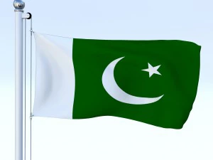 all asian flag pack 3D Model