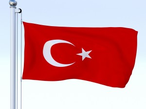 all asian flag pack 3D Model