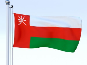 all asian flag pack 3D Model