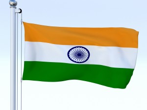 all asian flag pack 3D Model