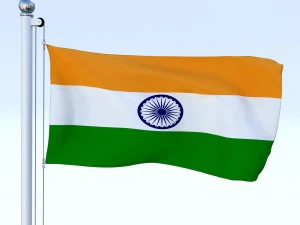 all asian flag pack 3D Model