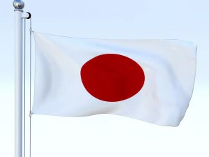 all asian flag pack 3D Model