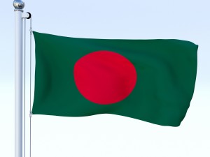 all asian flag pack 3D Model