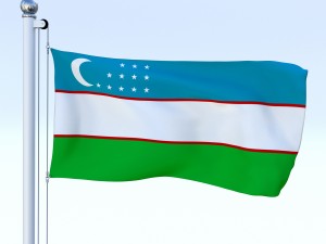 all asian flag pack 3D Model