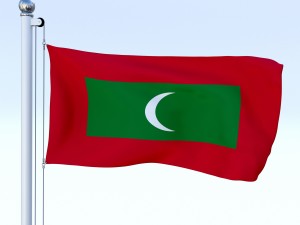 all asian flag pack 3D Model