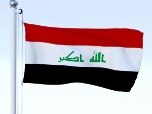 all asian flag pack 3D Model