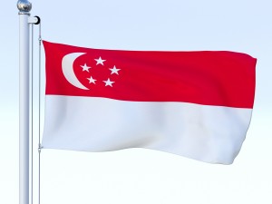 all asian flag pack 3D Model