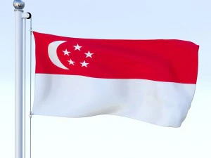 all asian flag pack 3D Model