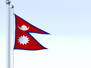 all asian flag pack 3D Model