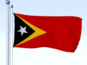all asian flag pack 3D Model