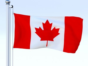 all north american flag pack 3D Model