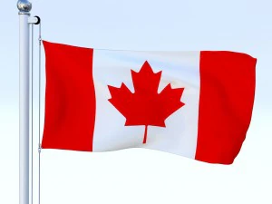 all north american flag pack 3D Model