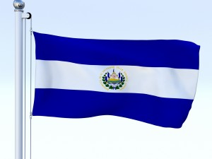 all north american flag pack 3D Model