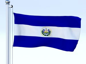 all north american flag pack 3D Model