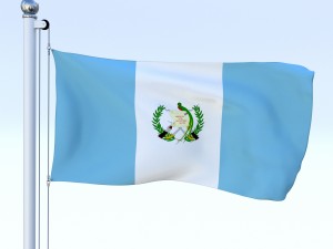 all north american flag pack 3D Model