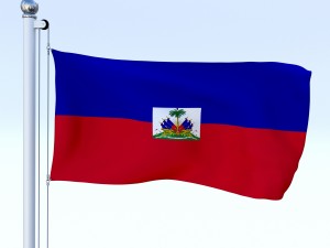 all north american flag pack 3D Model