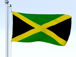 all north american flag pack 3D Model