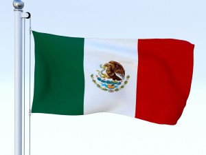 all north american flag pack 3D Model