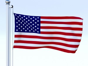 all north american flag pack 3D Model