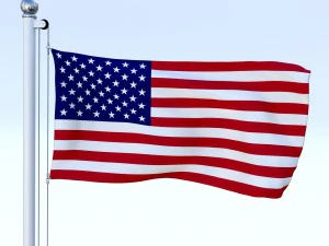 all north american flag pack 3D Model