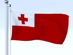 all oceanian flag pack 3D मॉडल