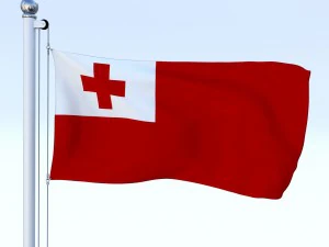 all oceanian flag pack 3D Model