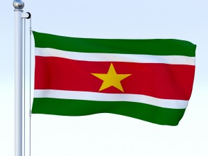 all south american flag pack 3D Model