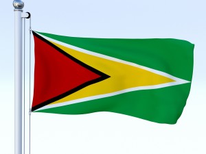 all south american flag pack 3D Model
