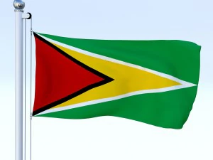 all south american flag pack 3D Model