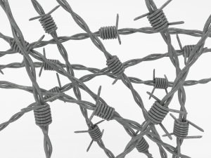 barb wire 3D Model