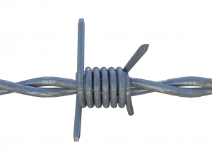 barb wire 3D 模型