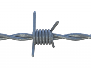 barb wire 3D 模型